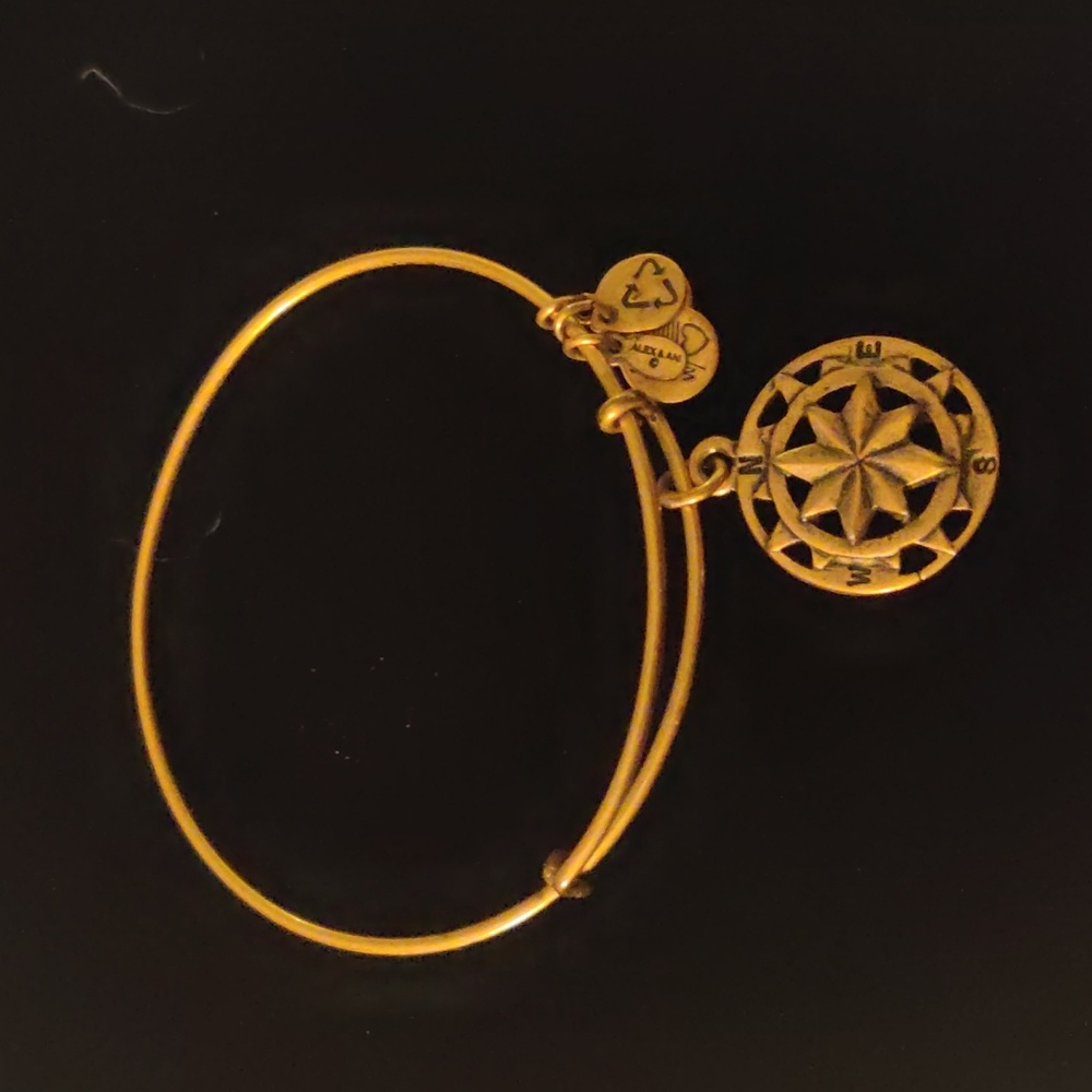 Alex and Ani Women's Gold Tone Bracelet - Compass